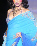 9 - turquoise and blue sari